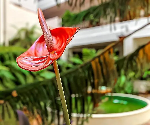 Home2book Near Playa Del Muelle بويرتو ذي لا كروز